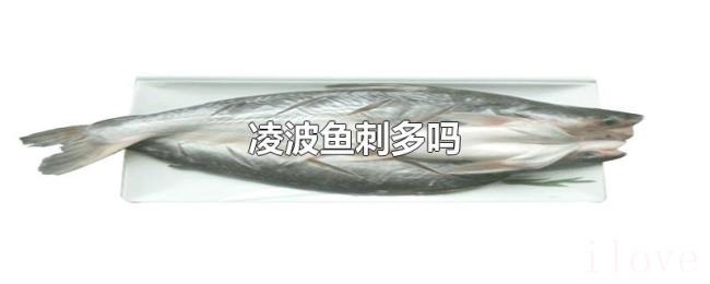 凌波鱼刺多吗 凌波鱼刺多吗