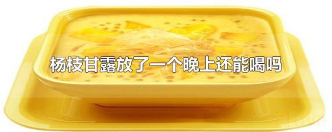 杨枝甘露放了一个晚上还能喝吗