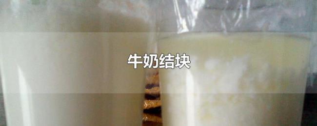 牛奶结块