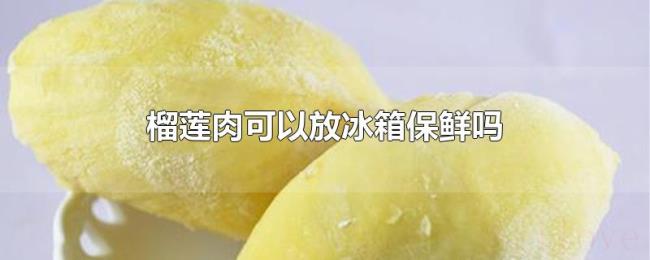 榴莲肉可以放冰箱保鲜吗