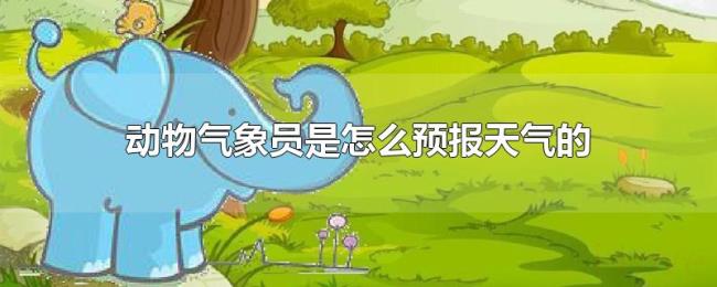 动物气象员是怎么预报天气的 动物气象员是怎么预报天气的