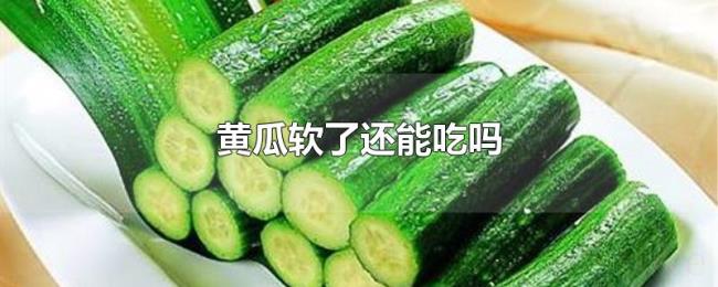 黄瓜软了还能吃吗 黄瓜软了还能吃吗