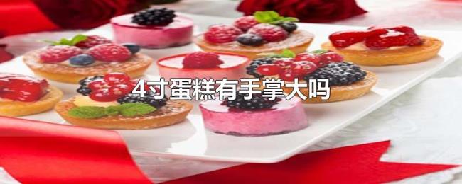 4寸蛋糕有手掌大吗 4寸蛋糕有手掌大吗