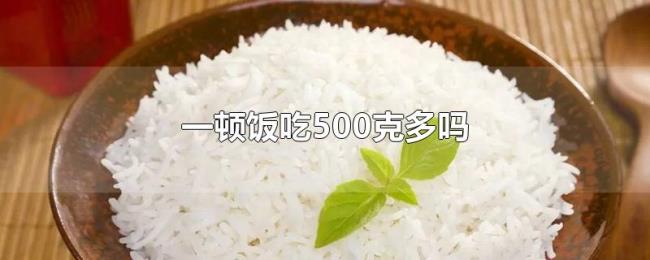 一顿饭吃500克多吗 一顿饭吃500克多吗
