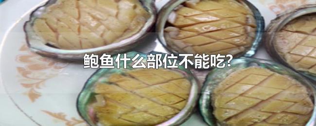 鲍鱼什么部位不能吃?
