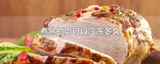 煮熟的肉可以冷冻多久