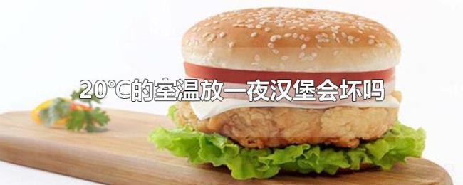 20℃的室温放一夜汉堡会坏吗
