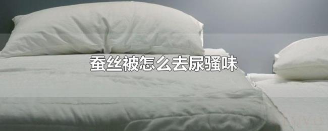 蚕丝被怎么去尿骚味 蚕丝被怎么去尿骚味