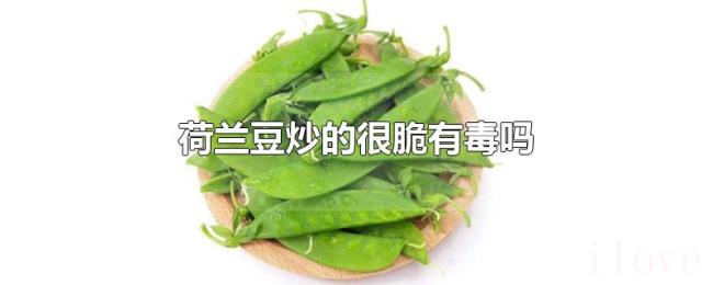 荷兰豆炒的很脆有毒吗 荷兰豆炒的很脆有毒吗