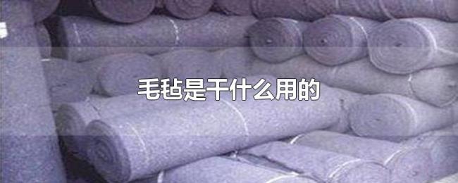 毛毡是干什么用的 毛毡是干什么用的