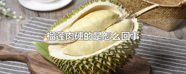 榴莲肉硬的是怎么回事 榴莲肉硬的是怎么回事