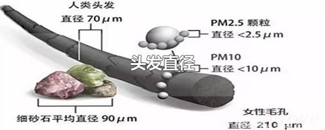 头发直径 头发直径