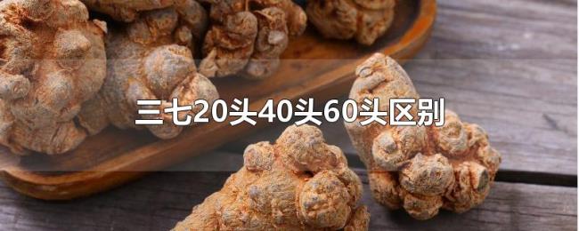 三七20头40头60头区别
