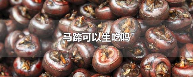马蹄可以生吃吗