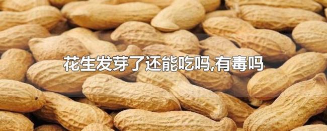 花生发芽了还能吃吗,有毒吗 花生发芽了还能吃吗,有毒吗