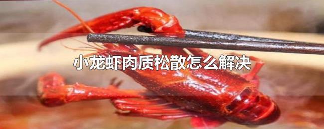 小龙虾肉质松散怎么解决