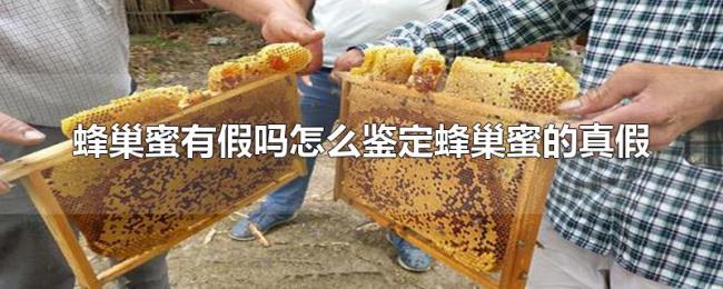 蜂巢蜜有假吗怎么鉴定蜂巢蜜的真假