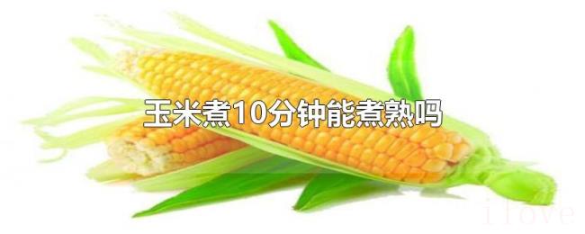 玉米煮10分钟能煮熟吗