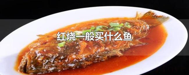 红烧一般买什么鱼 红烧一般买什么鱼