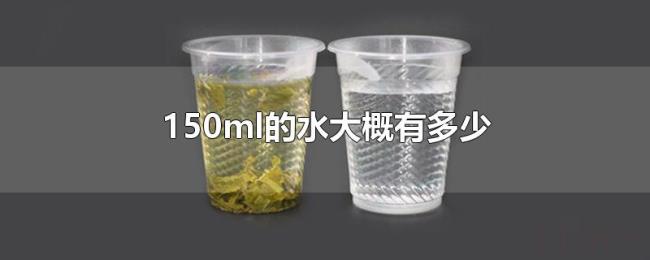 150ml的水大概有多少 150ml的水大概有多少