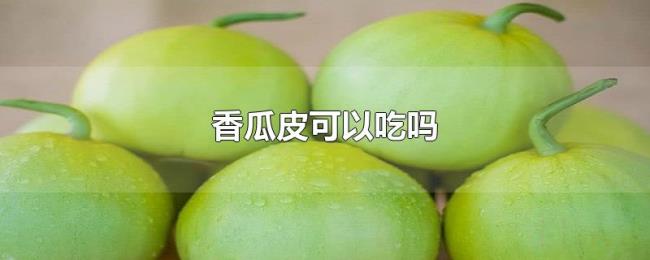香瓜皮可以吃吗