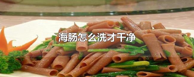 海肠怎么洗才干净 海肠怎么洗才干净