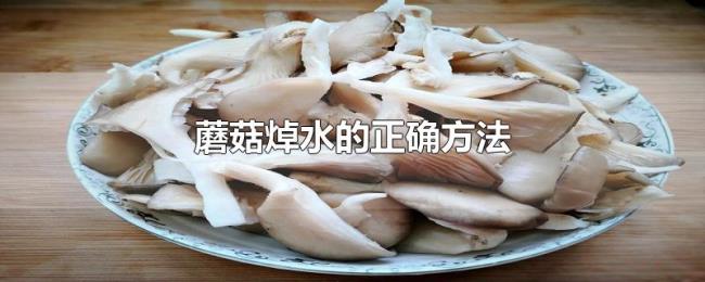 蘑菇焯水的正确方法