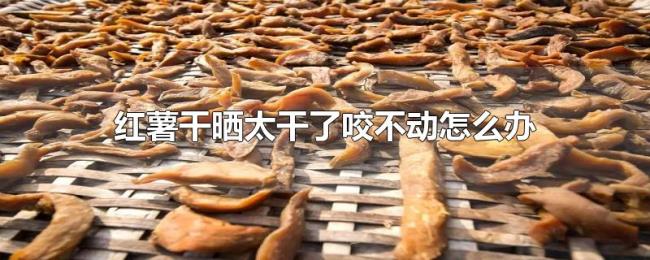 红薯干晒太干了咬不动怎么办 红薯干晒太干了咬不动怎么办