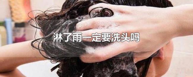 淋了雨一定要洗头吗 淋了雨一定要洗头吗