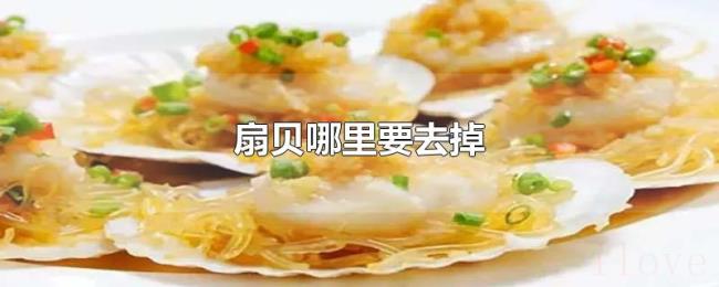 扇贝哪里要去掉