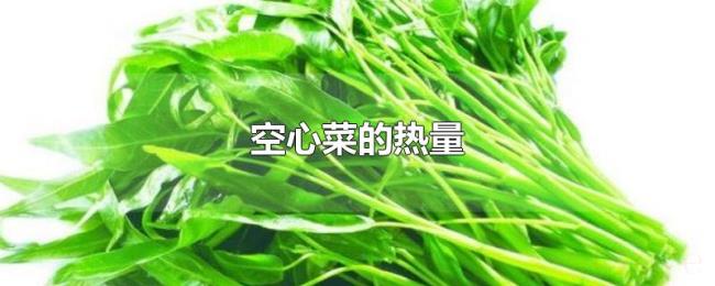 空心菜的热量