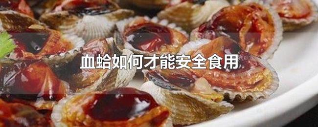 血蛤如何才能安全食用 血蛤如何才能安全食用