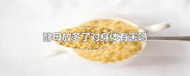酵母放多了对身体有害吗