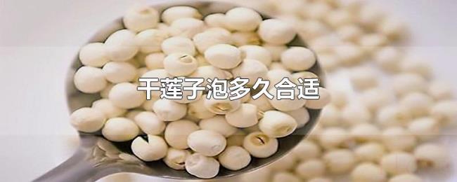 干莲子泡多久合适