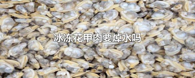 冰冻花甲肉要焯水吗 冰冻花甲肉要焯水吗