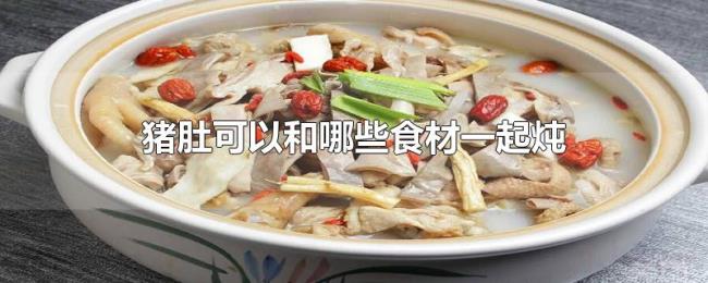 猪肚可以和哪些食材一起炖 猪肚可以和哪些食材一起炖