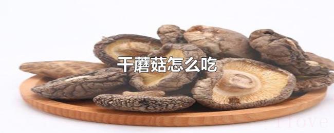 干蘑菇怎么吃 干蘑菇怎么吃