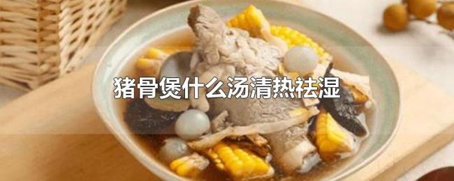 猪骨煲什么汤清热祛湿 猪骨煲什么汤清热祛湿