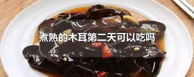 煮熟的木耳第二天可以吃吗 煮熟的木耳第二天可以吃吗