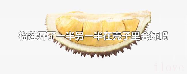 榴莲开了一半另一半在壳子里会坏吗 榴莲开了一半另一半在壳子里会坏吗