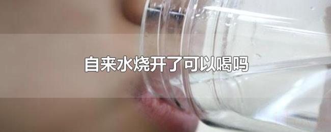 自来水烧开了可以喝吗