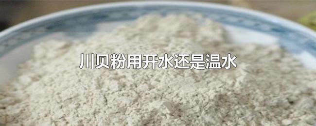 川贝粉用开水还是温水 川贝粉用开水还是温水