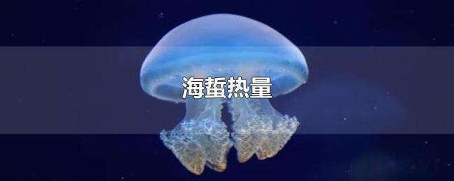 海蜇热量