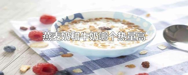 燕麦奶和牛奶哪个热量高