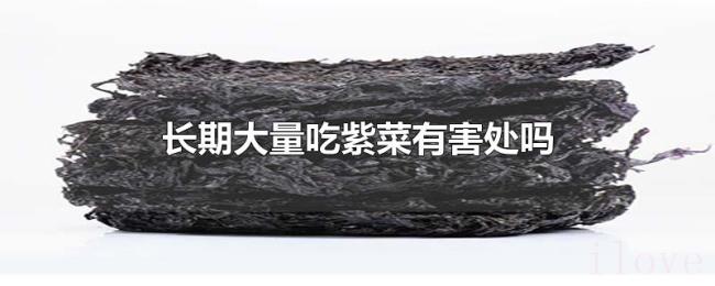 长期大量吃紫菜有害处吗