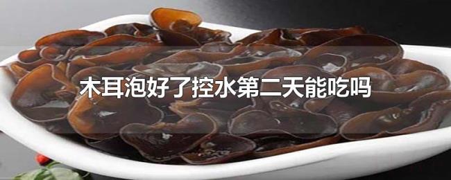 木耳泡好了控水第二天能吃吗