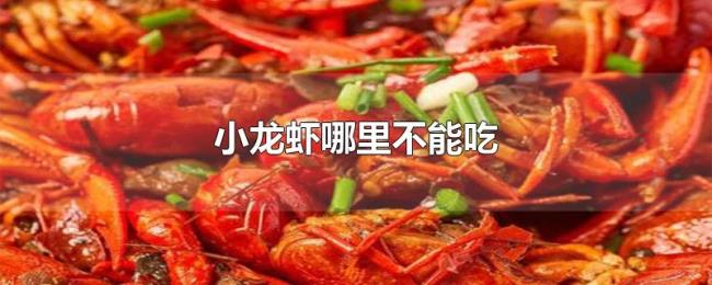 小龙虾哪里不能吃