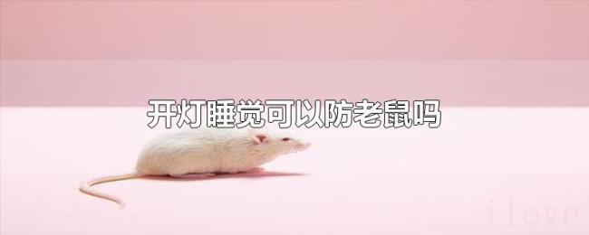 开灯睡觉可以防老鼠吗 开灯睡觉可以防老鼠吗
