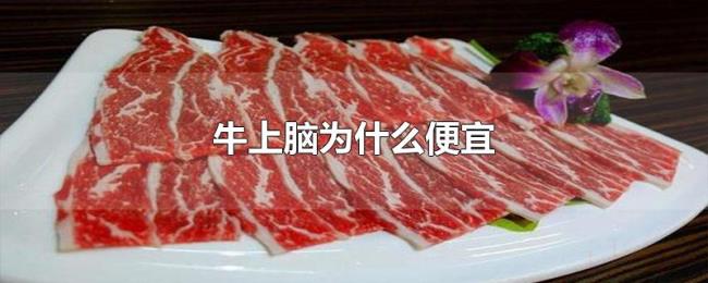 牛上脑为什么便宜 牛上脑为什么便宜