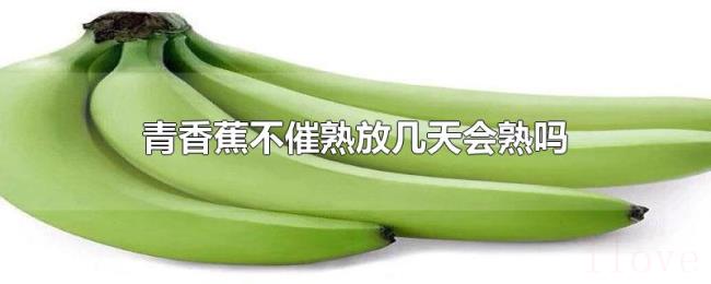 青香蕉不催熟放几天会熟吗